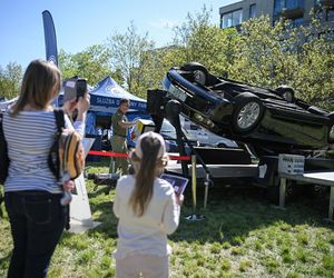 Piknik Europejski w Warszawie - 1 maja 2025