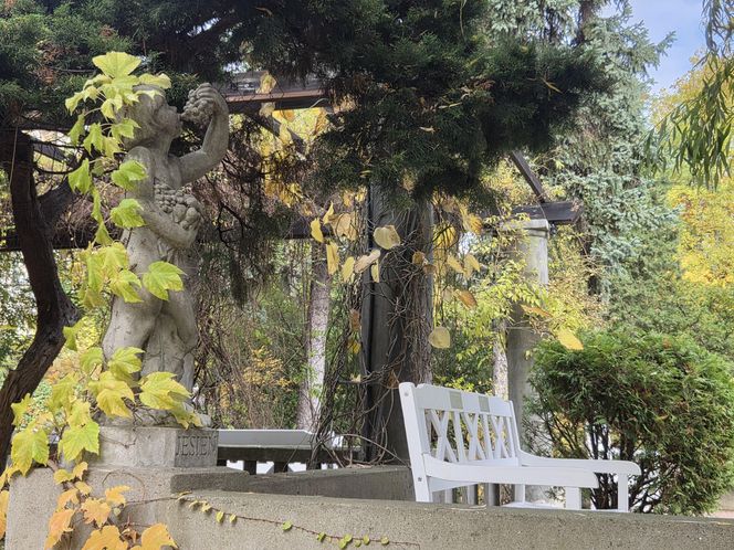 Jesień w Ogrodzie Botanicznym UKW. To ostatnia szansa na spacer wśród złotych liści!