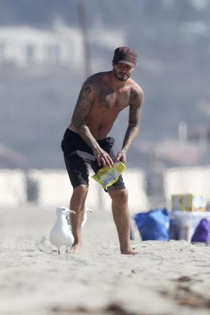 David Beckham pręży KLATĘ na plaży w Malibu! Wygląda na 39 lat? [ZDJĘCIA]