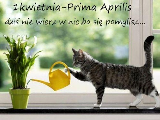 Kartki i grafiki na Prima Aprilis 2026. Pobierz za darmo i świętuj 1 kwietnia z humorem!