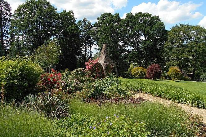 Arboretum Wojsławice - zdjęcia. Kiedy jechać?