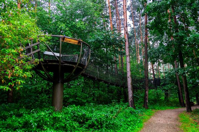Spacer w koronach drzew w Pomiechówku – szersza perspektywa