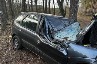 Wypadek na DK 10 w Solcu Kujawskim! Osobówka wypadła z drogi i uderzyła w drzewo [ZDJĘCIA]
