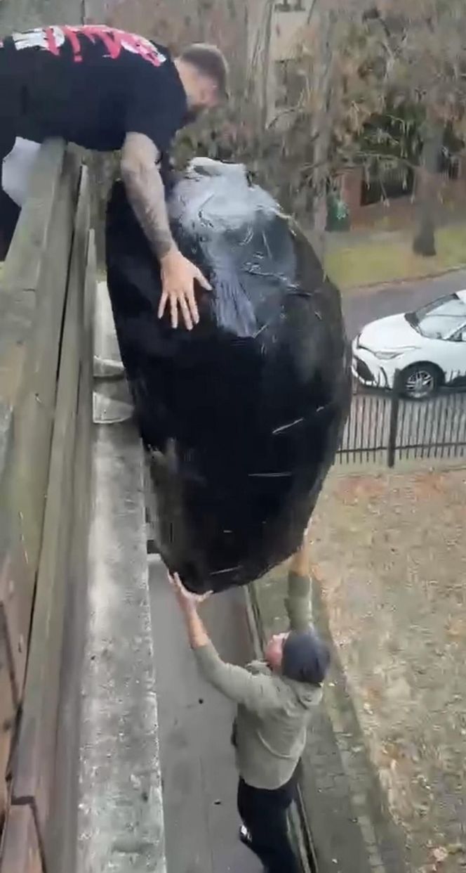 Gigantyczny pająk z plastikowych butelek ozdobił dom w Lublinie