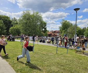 Festiwal Przyjaciół Zwierząt w Olsztynie. Park Centralny opanowały radosne pieski
