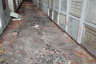 Remont Alei Zasłużonych na Starych Powązkach. Tak wyglądają groby Młynarskiego i Połomskiego