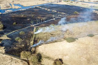 Pożar łąki w Szczecinie, 18.03.2025