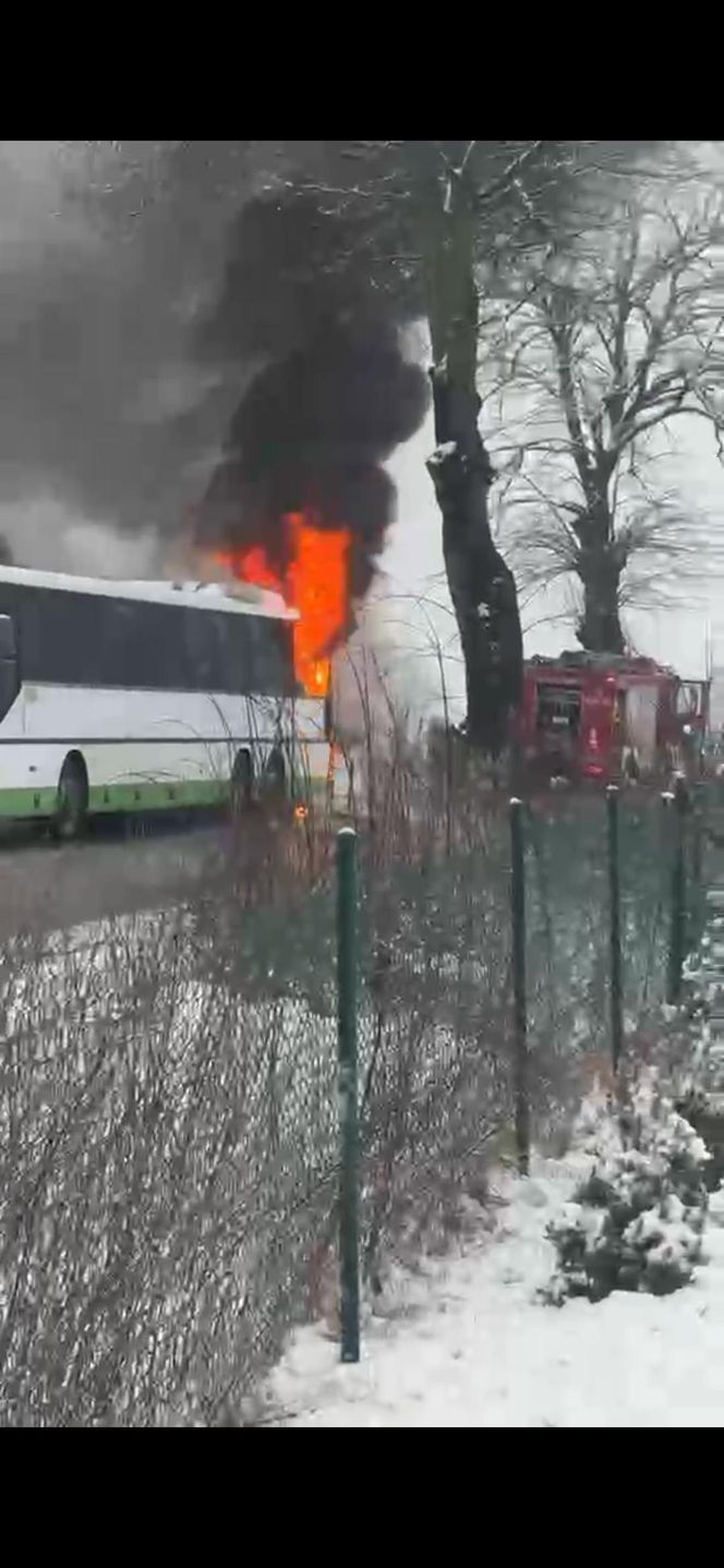 Autobus stanął w płonieniach! Kierowca w porę zatrzymał pojazd. Co było przyczyną pożaru? 