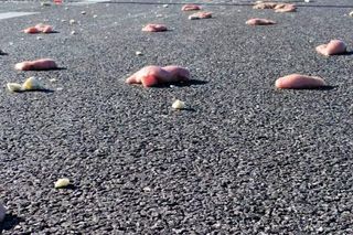 Deszcz mrożonego mięsa na autostradzie A4. Nietypowe skutki kolizji pod Krakowem