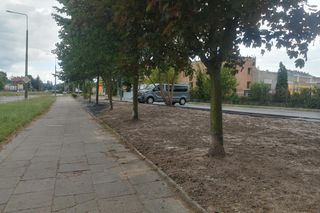 Park kieszonkowy w Siedlcach