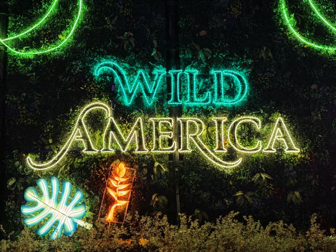 Garden of Lights we Wrocławiu