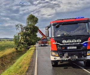 Dolnośląskie. Burze wyrządziły wiele szkód w regionie. Tak wyglądają okolice Jawora [ZDJĘCIA].