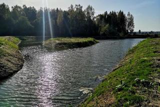 Nowe zbiorniki wodne w podlaskich lasach. Pomogą walczyć ze zmianami klimatu [ZDJĘCIA]