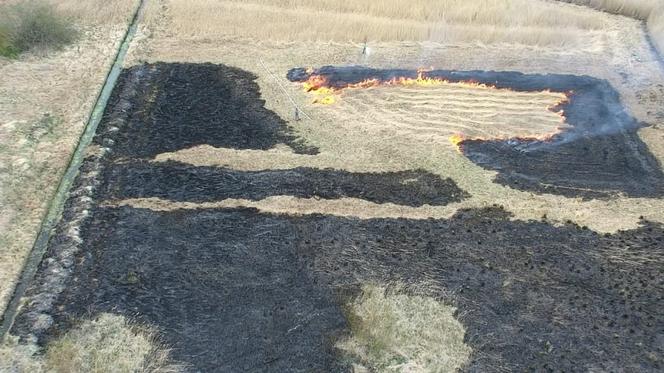 Wypalał trawę, namierzył go dron.