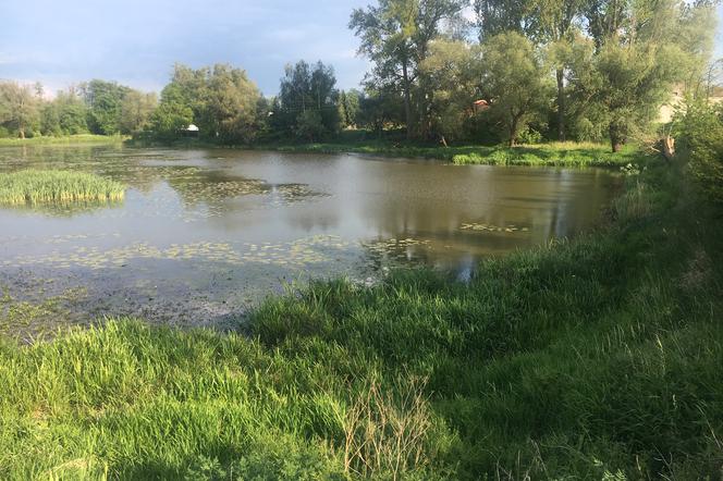 BiaŁobrzegi: chcą zatrzymać podtopienia i powodzie. W jaki sposób? 