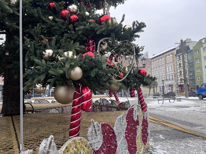 W centrum Gorzowa stanęła choinka! Jak wygląda?