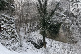 Dolina Mnikowska. Wyjątkowe miejsce w Małopolsce
