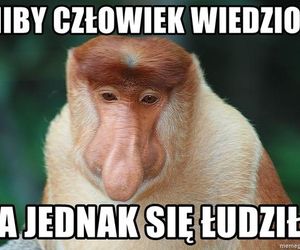 Wybory prezydenckie 2025. Sprawdźcie najlepsze memy 