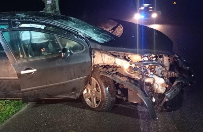Kierowca jechał pod wpływem. Uderzył w drzewo i dachował