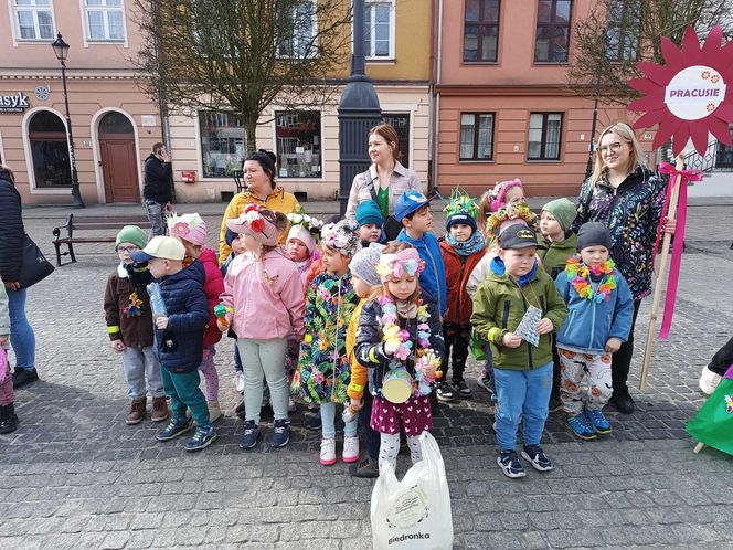 Przemarsz przedszkolaków z marzannami ulicami Grudziądza