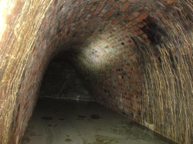 Tunele mogą być w przyszłości dostępne dla zwiedzających