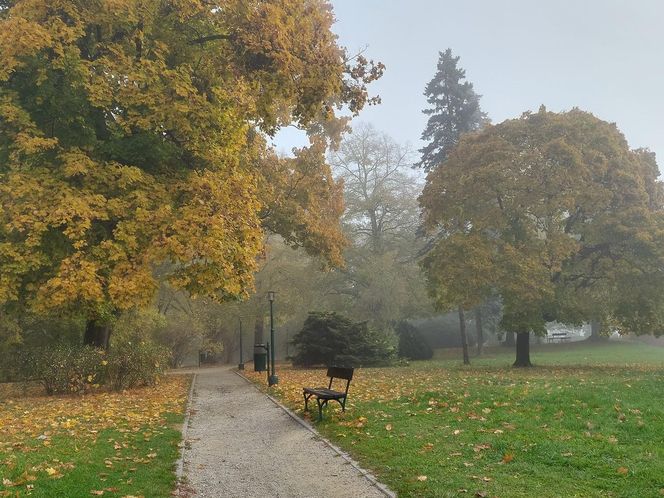 Zamojski Park jesienią