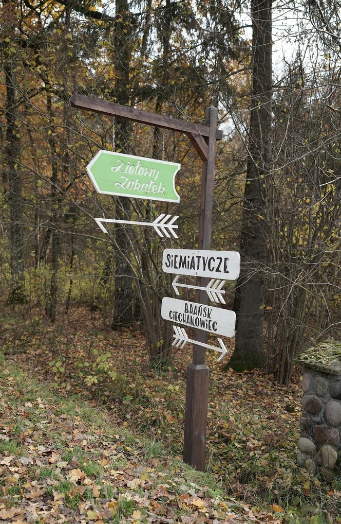 Koryciny. Pożar w Darach Natury. Znany w Polsce zakład przeżywa trudne chwile [ZDJĘCIA]