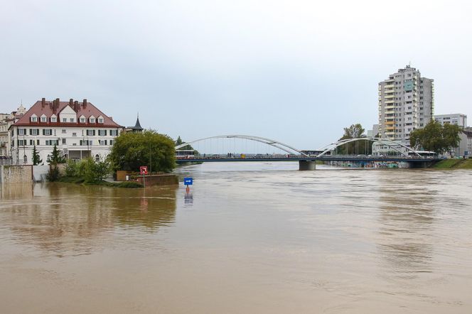 Powódź w Opolu. Stan Odry w środę, 18.09.2024 