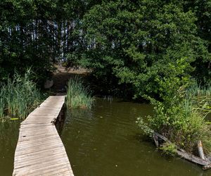 Tragiczna śmierć 15-letniego harcerza pod Wolsztynem