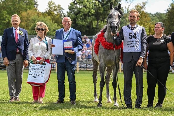 Prawie 640 tys. euro za konie na aukcji Pride of Poland