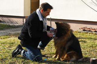  Komisarz Alex. Jacek Knap dołącza do serialu