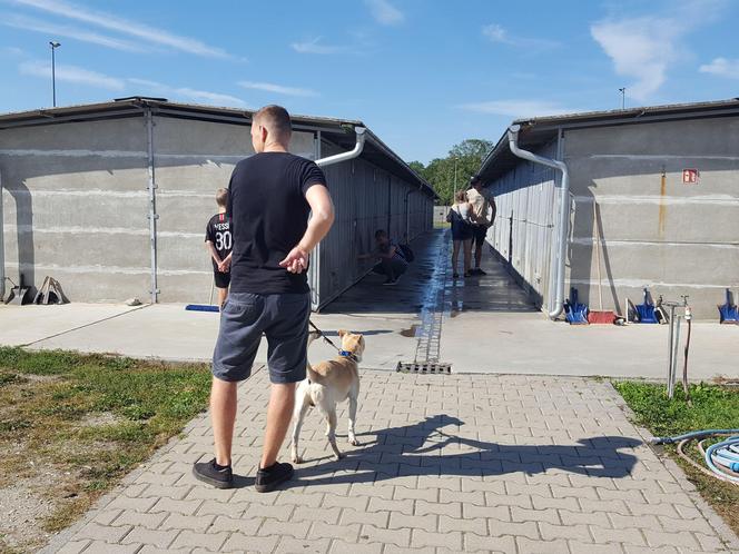 Schronisko dla bezdomnych zwierząt w Henrykowie będzie większe. Powstanie przy nim cmentarz dla zwierząt