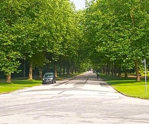 Ohlsdorfer Friedhof w Hamburgu