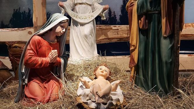 Szopki Bożonarodzeniowe - Stare Miasto Zamość