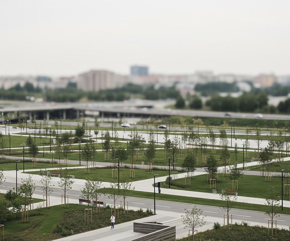 Rozległy park miejski rozciąga się na pierwszym planie, z licznymi rzędami młodych drzew o jasnych zielonych liściach, z których wiele jest podpartych drewnianymi palikami. Drzewa rosną na równo przystrzyżonych trawnikach, przez które biegną betonowe ścieżki i drogi, przecinające się pod różnymi kątami. Wzdłuż ścieżek rozmieszczono ławki i latarnie uliczne, a w prawym dolnym rogu widoczna jest postać osoby w białej koszulce i niebieskich jeansach, stojąca na ścieżce. W tle widać ruchliwą autostradę z kilkoma samochodami oraz zamazany, miejski krajobraz z budynkami i drzewami pod pochmurnym, jasnym niebem.