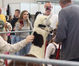 Tak wyglądał Zoopark 2024 w Lublinie! Zobacz zdjęcia