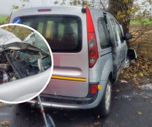 Wypadek drogowy w Kujawsko-Pomorskiem. Samochód uderzył w drzewo. Zginęły dwie osoby