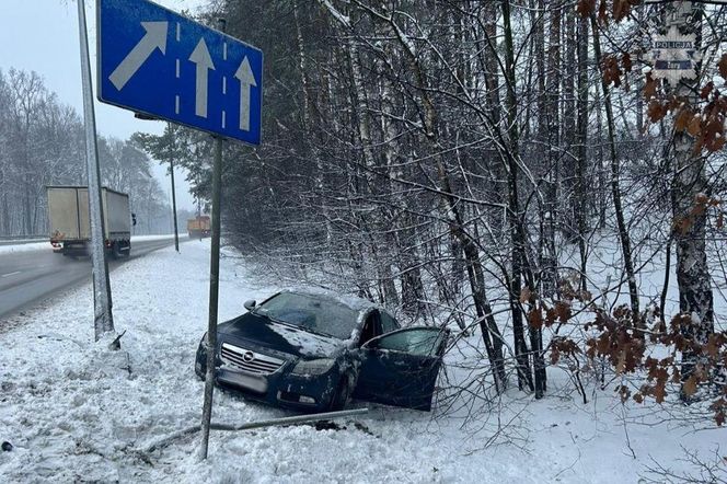 Ścięła znak, latarnię i wjechała do rowu. 20-latka z Żor chyba nie zauważyła alertu RCB
