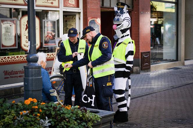 Zebra Basia rozdawała odblaski na chorzowskiej Wolce 