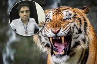 Syn mafioza wrzucał ludzi do klatki z tygrysami! Nie uwierzysz, jak wygląda