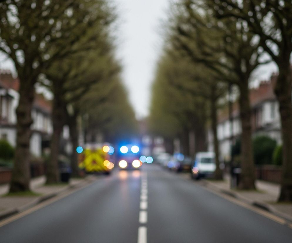 W oddali, na środku ulicy, migoczą jasne światła pojazdów ratunkowych w kolorach niebieskim i żółtym, wskazując na ruch lub obecność pojazdu służb. Ulica jest otoczona po obu stronach rzędami domów mieszkalnych o ceglanych elewacjach i jasnych oknach, częściowo przysłoniętych koronami drzew, które rozciągają się wzdłuż chodników. Drzewa po obu stronach drogi, z pofalowanymi gałęziami, tworzą aleję, a ich pnie są szerokie i wyraźne na tle rozmytych domów. Szare niebo nad ulicą sugeruje pochmurny dzień, a perspektywa obrazu skupia się na oddalonych światłach, podczas gdy otoczenie jest rozmyte.