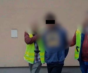 Horror w lesie pod Puławami. Psy łapały się w stalowe wnyki