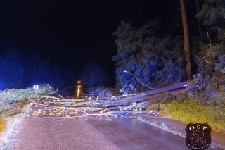 Blisko 20 zerwanych dachów po nocnych burzach w Małopolsce. Strażacy interweniowali ponad 400 razy