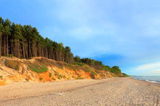 Mordercza bakteria w Bałtyku