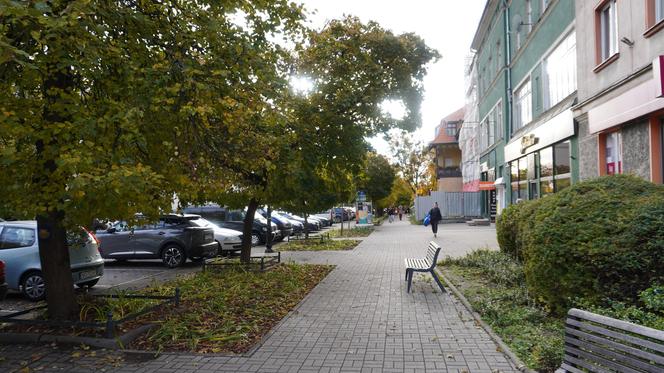 Kolorowe drzewa i klimatyczne kamienice. Ta ulica w Olsztynie zachwyca jesienią [ZDJĘCIA]