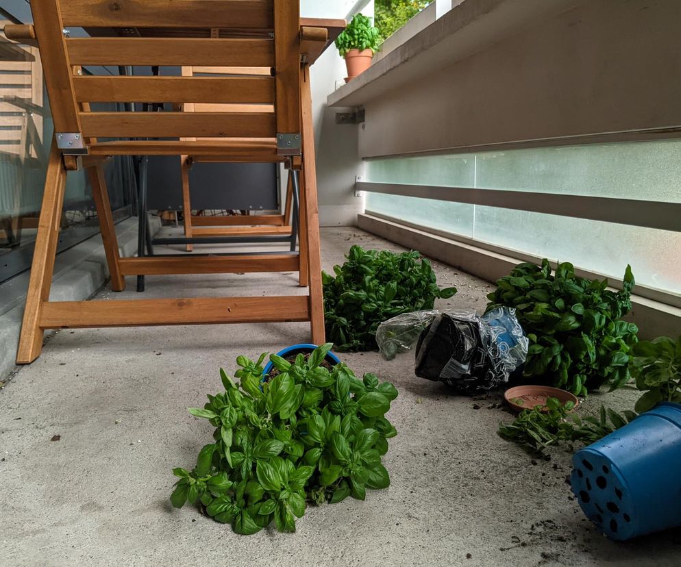 Podczas burzy doniczki wylądowały u sąsiadki. Jak prawidłowo zabezpieczyć balkon?