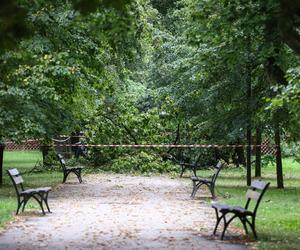 Park wilanowski zamknięty po burzy w Warszawie