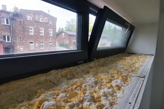 Stodoła przerobiona na mieszkania