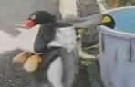 pingwin robi zakupy