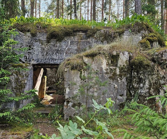 Odwiedziłam jeden z piękniejszych powiatów na Mazurach. To prawdziwy „szlak bunkrowy”